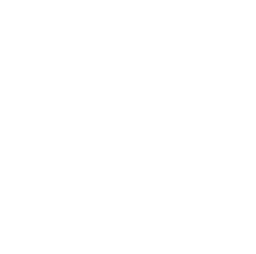 Icone de Qualidade Premium